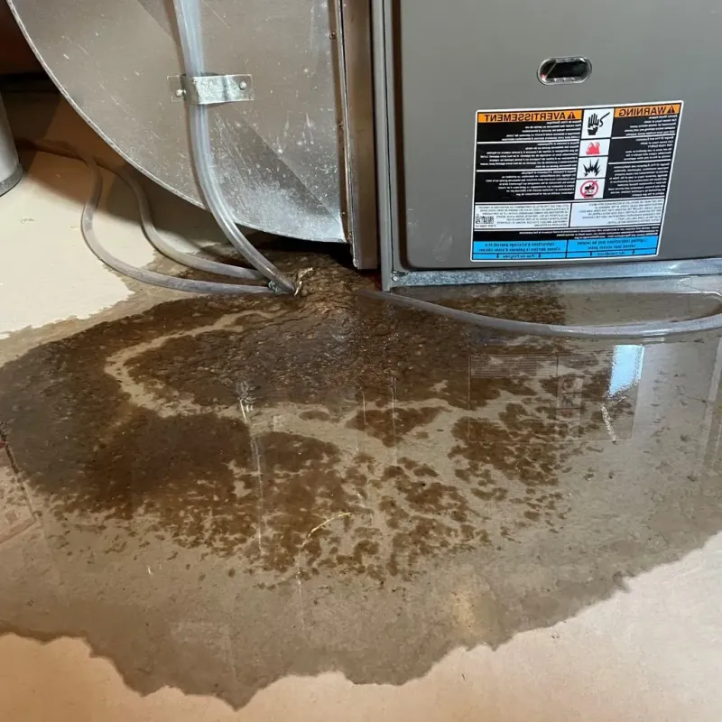 Pipe Burst and Leak Restoration in Fort Plain, NY